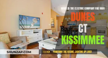 Who Supplies Electricity to 8881 Dunes Ct, Kissimmee?