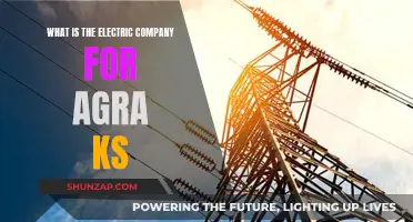 Agra's Electric Power: Unlocking the Mystery of the Company