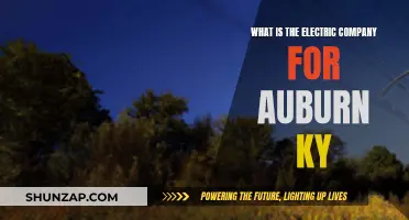 Auburn's Electric Company: Powering the Community with Sustainable Energy Solutions