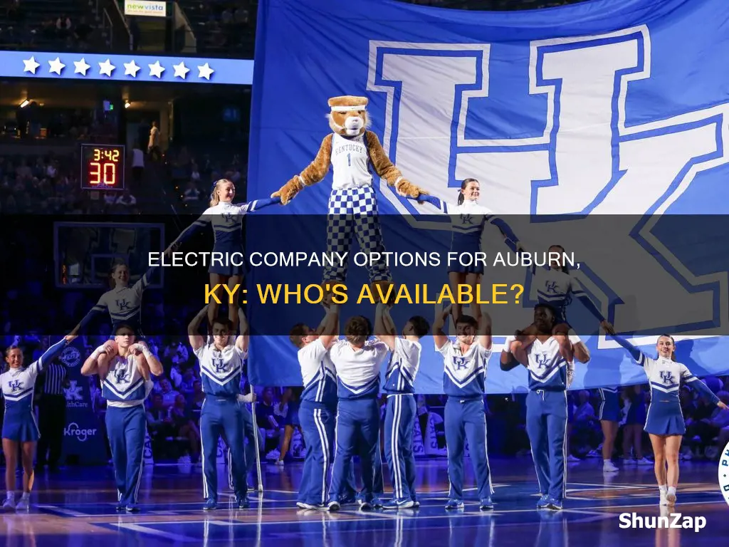 what is the electric company for auburn ky