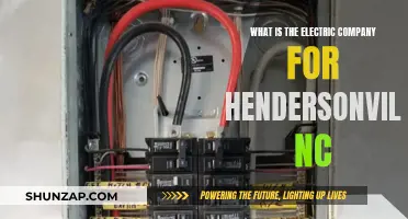 Hendersonville, NC: Electric Company Options and Information