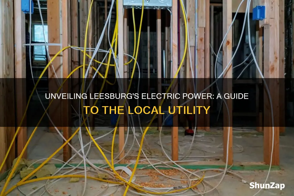 what is the electric company for leesburg fl