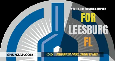 Electric Company for Leesburg, FL: Who Powers the Town?