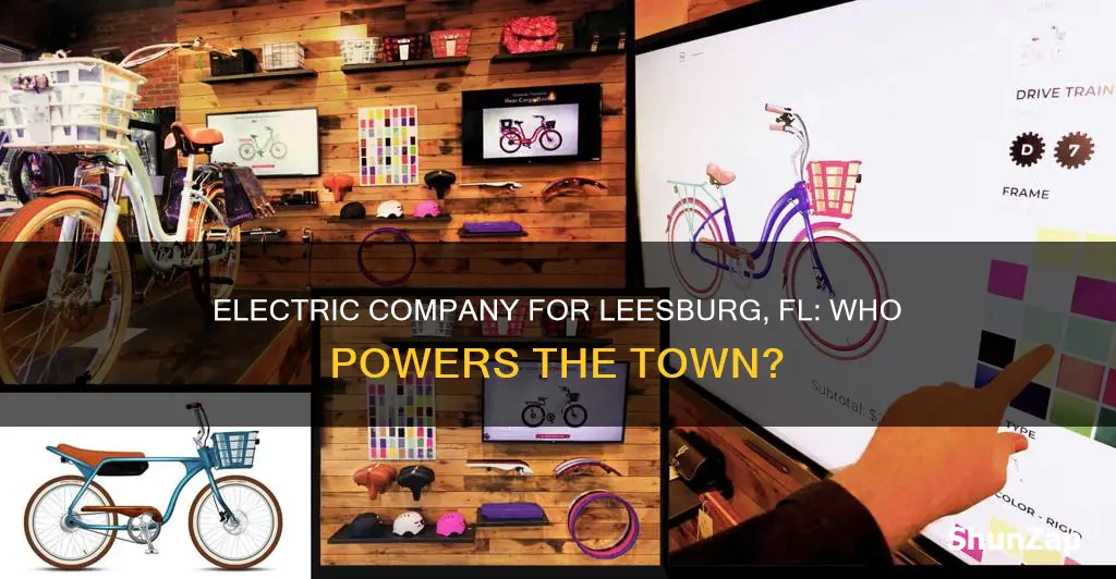 what is the electric company for leesburg fl