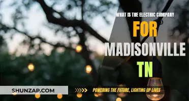 Electric Company Options in Madisonville, TN: Who Powers the City?