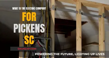 Electric Company for Pickens, SC: Who Powers Your Home?