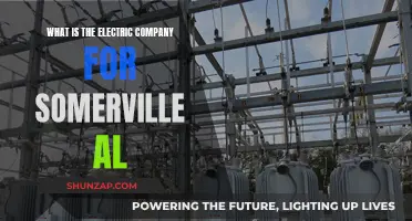 Somerville's Electric Company: Powering the Community with Renewable Energy