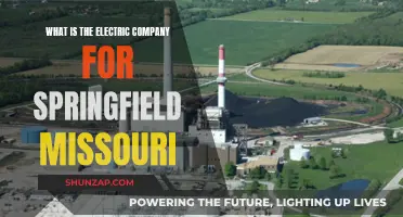 Springfield's Electric Company: Powering the Community with Renewable Energy