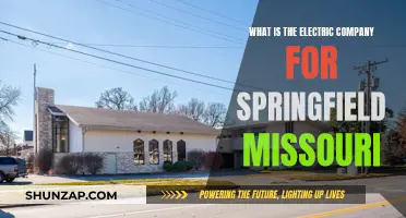 Springfield, Missouri: Electric Company Options and Information