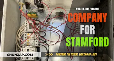 Electric Company for Stamford: Who Powers the City?