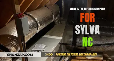 Electric Company for Sylva, NC: Who Powers the Town?