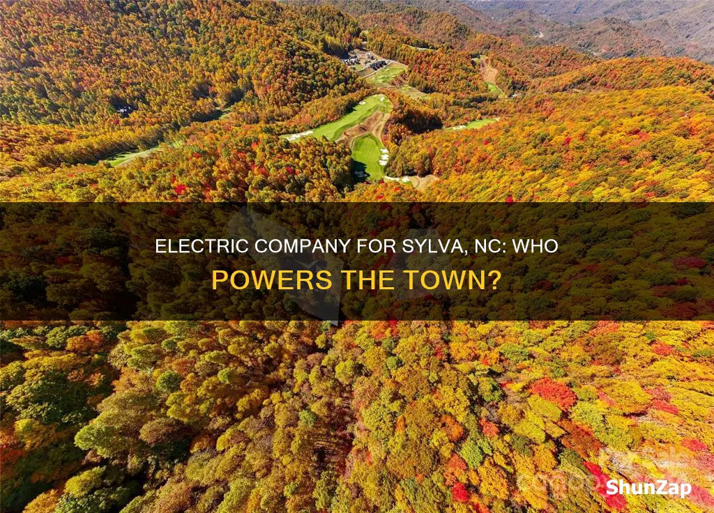 what is the electric company for sylva nc