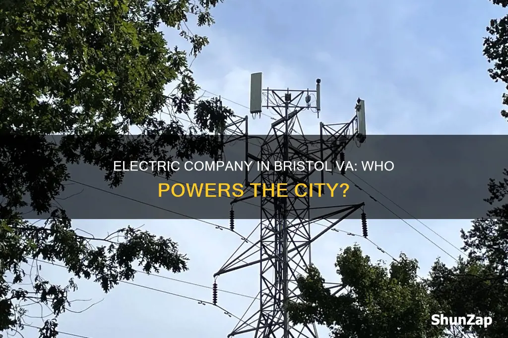 what is the electric company in bristol va