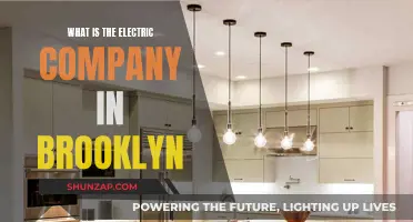 Brooklyn's Electric Company: Powering the Borough's Future