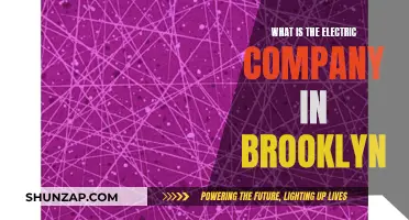 Electric Company in Brooklyn: Who Powers the Borough?