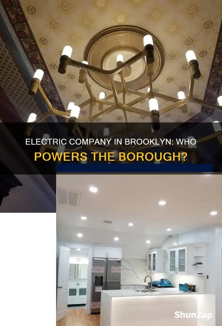 what is the electric company in brooklyn