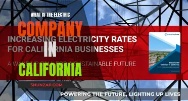 California's Electric Company: Powering the Golden State's Future