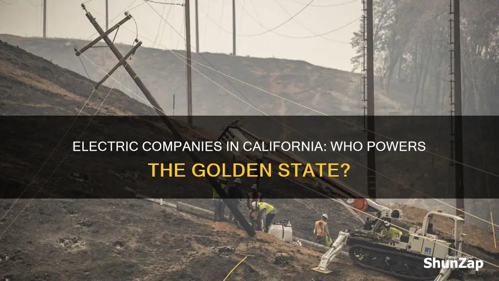 what is the electric company in california