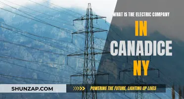 Unveiling Canada's Electric Company: Powering the Nation's Future