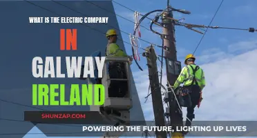 Galway's Electric Company: Powering the City's Future