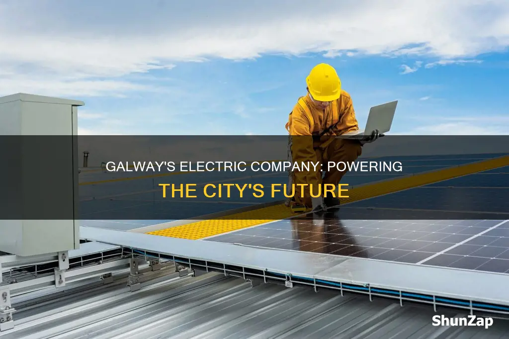 what is the electric company in galway ireland