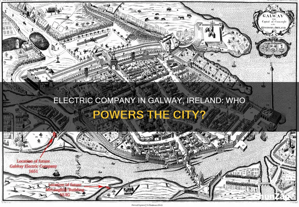 what is the electric company in galway ireland