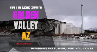 Golden Valley, AZ: Electric Company Options and Information