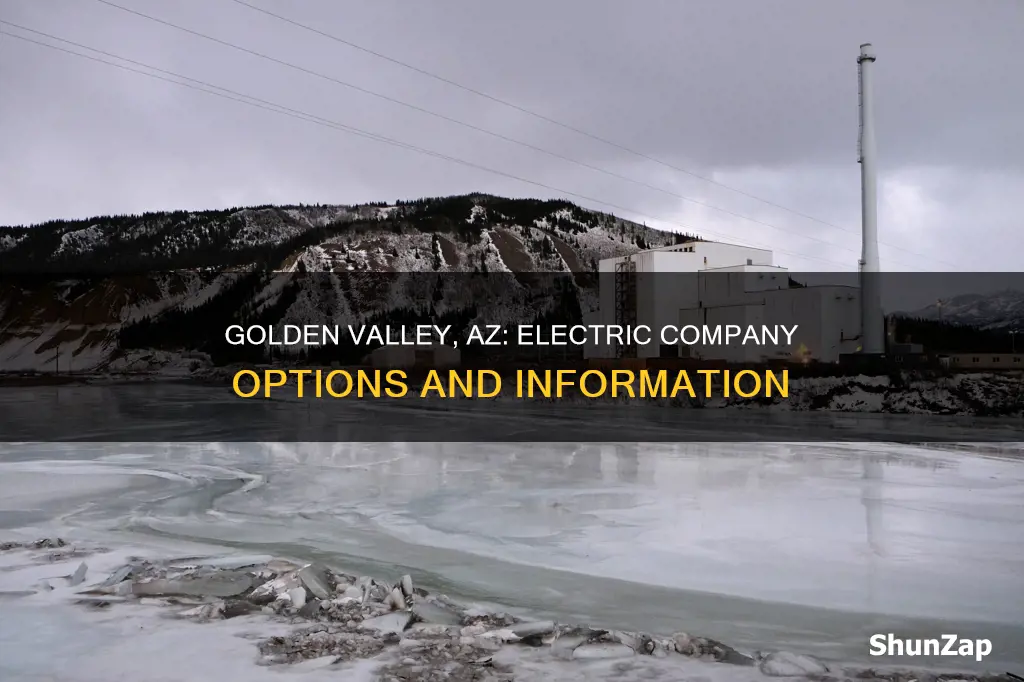 what is the electric company in golden valley az