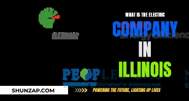 Illinois' Electric Company: Powering the State's Future