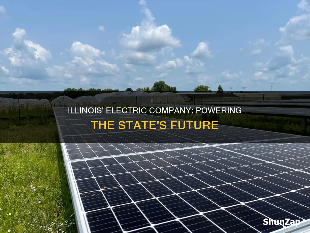 what is the electric company in illinois