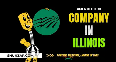 Electric Company in Illinois: Who Powers the Prairie State?