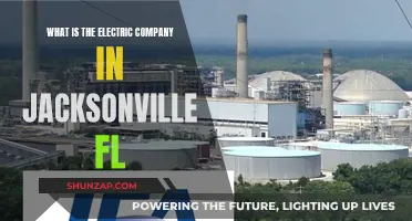 Jacksonville's Electric Company: Powering the City's Future