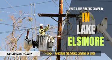 Lake Elsinore's Electric Company: Who Powers the City?