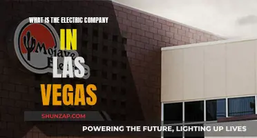 Electric Company in Las Vegas: Who Powers Sin City?
