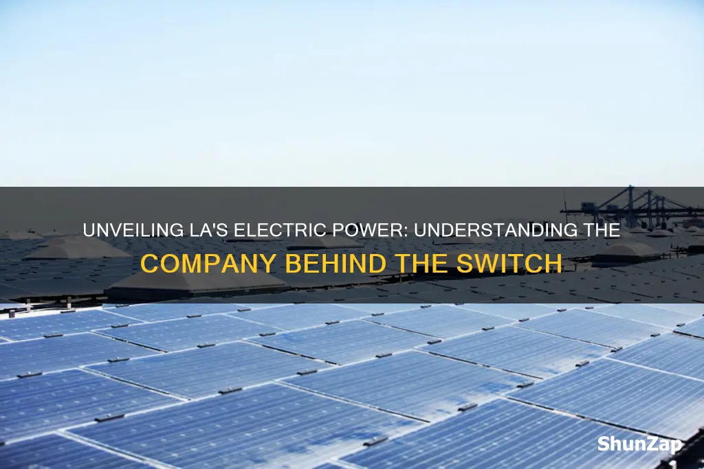 what is the electric company in los angeles