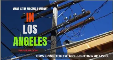 Electric Company in LA: Who Powers the City?