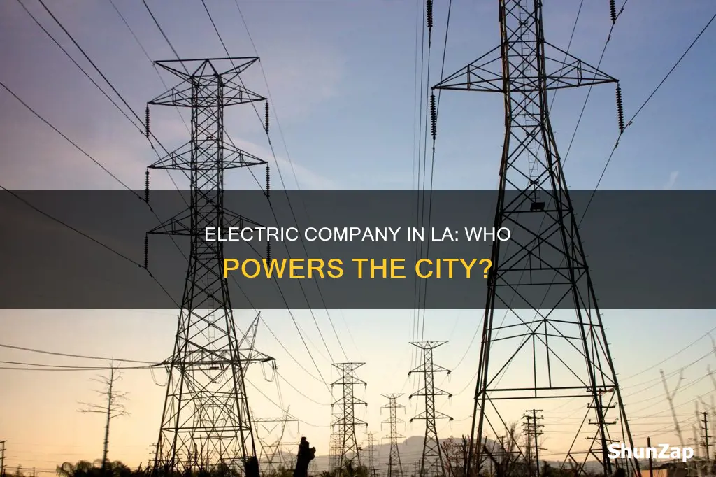 what is the electric company in los angeles