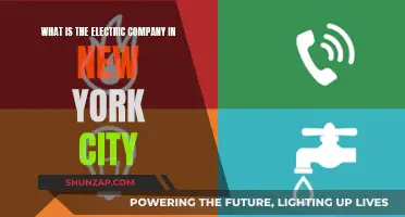 Unveiling NYC's Electric Power: The Company Behind the Switch