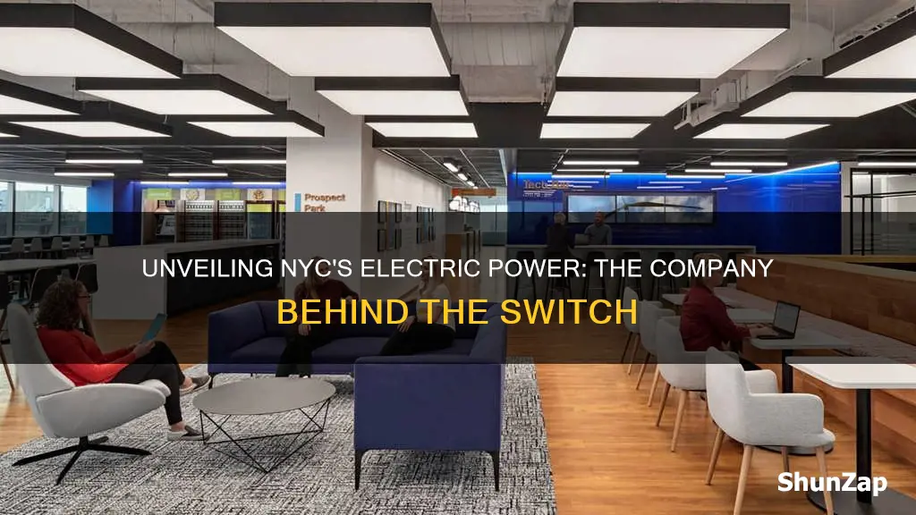 what is the electric company in new york city