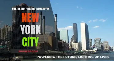 Electric Company: Powering New York City's Future