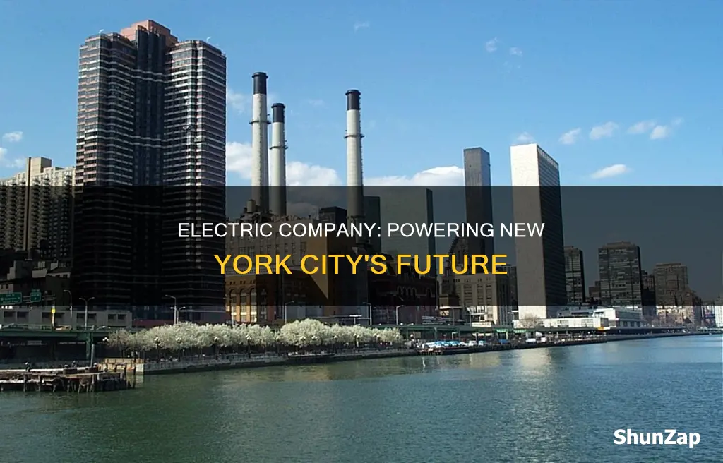 what is the electric company in new york city