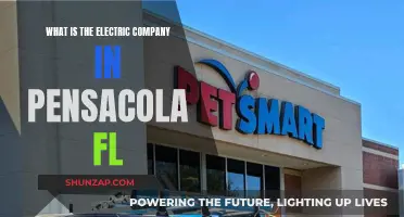 Pensacola's Electric Company: Who Powers the City?