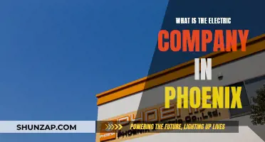 Electric Company in Phoenix: Who Powers the Valley?