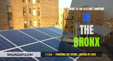 Unveiling the Mystery: What's the Deal with the Bronx's Electric Company?