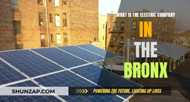 Electric Company in the Bronx: Who Powers the Borough?