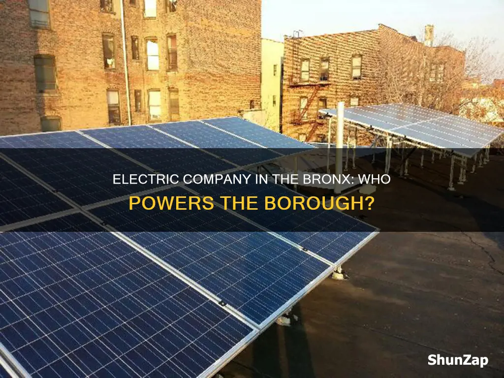 what is the electric company in the bronx