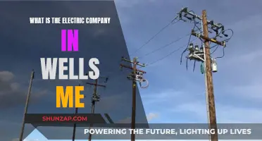 Electric Company in Wells, ME: Who Powers the Town?