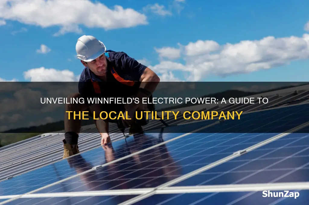 what is the electric company in winnfield louisiana