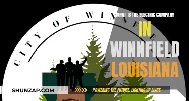 Electric Company in Winnfield, Louisiana: All You Need to Know