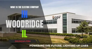 Electric Company in Woodridge, IL: Who Powers the Town?